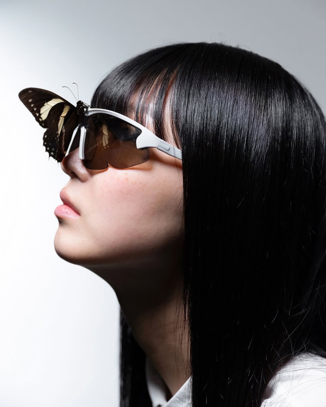 IMG_6217_50a2d079-e9e8-43f3-