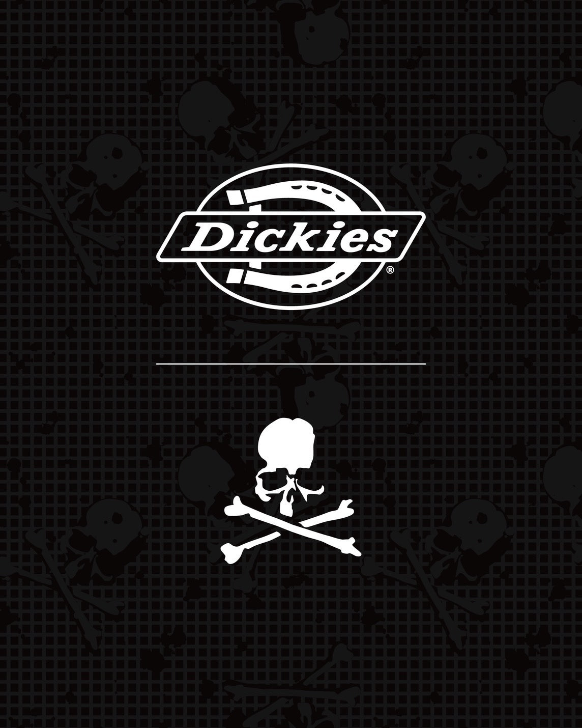 IMG_6285_972eaa18-2197-4ee6-