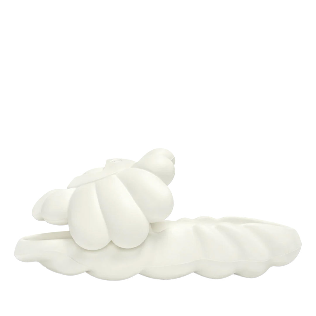 Takashi Murakami / kaikai kiki(タカシ ムラカミ/ カイカイキキ