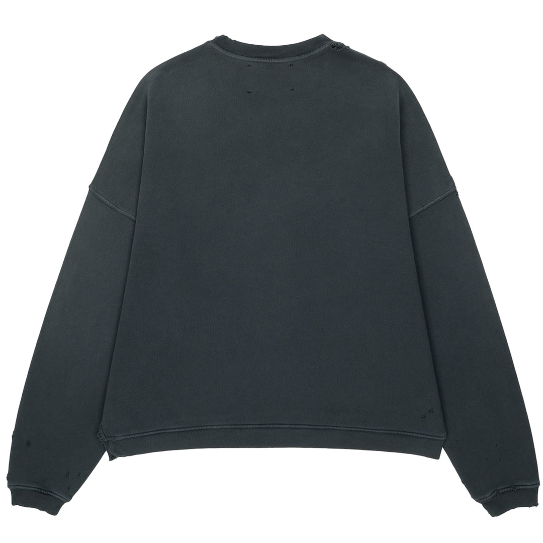 PALY HOLLYWOOD(パリーハリウッド) - MYTHSS CREWNECK クルーネック