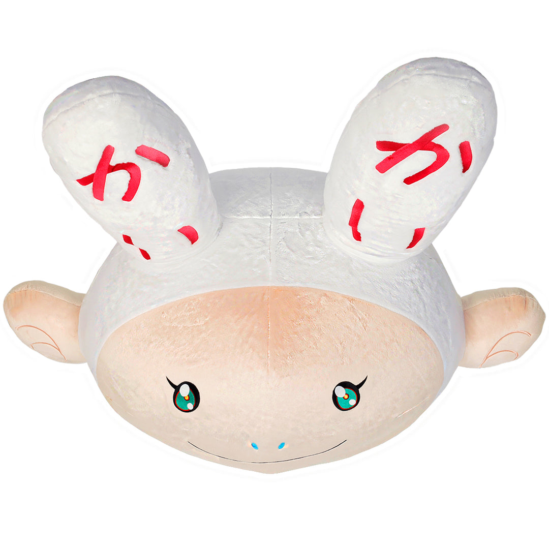 Takashi Murakami / kaikai kiki(タカシ ムラカミ/ カイカイキキ